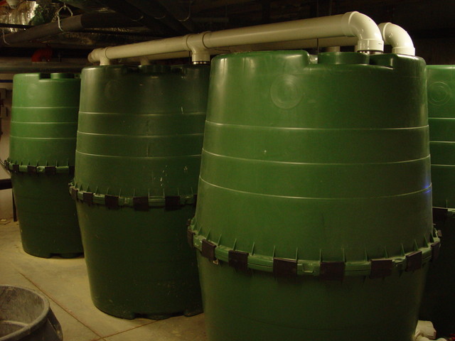 Rainwater harvesting tanks in the basement
